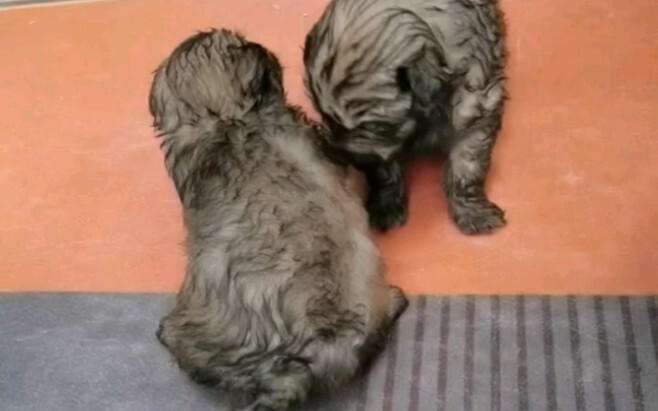 A Little Life Scrapped Together