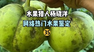 [Fruit Hunter x Hunter] Online Popular Fruit Identification 35