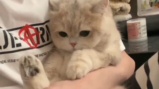 Satu kali sehari, tingkat kesembuhan mencapai 99,99997%