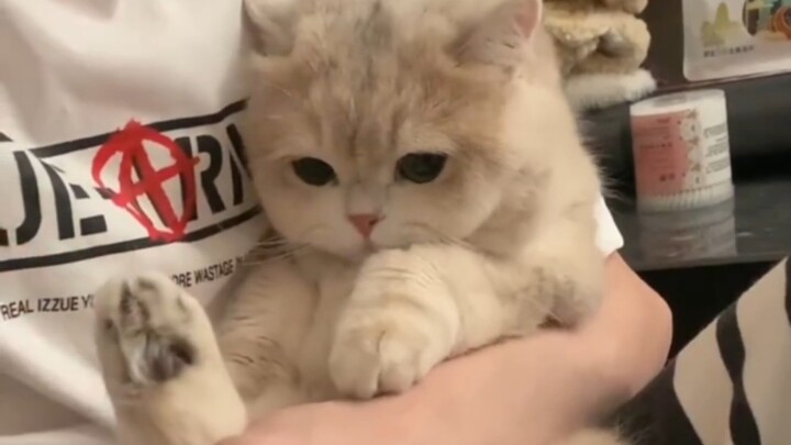 Do it once a day, and the cure rate is as high as 99.99997%