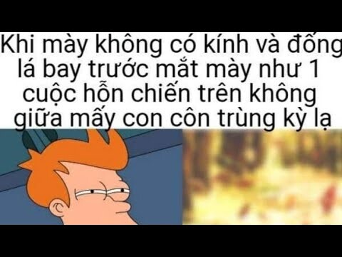 Kho Muối ảnh chế hài hước- Come back mạnh nè ae ớiii/ #MemeNLQ