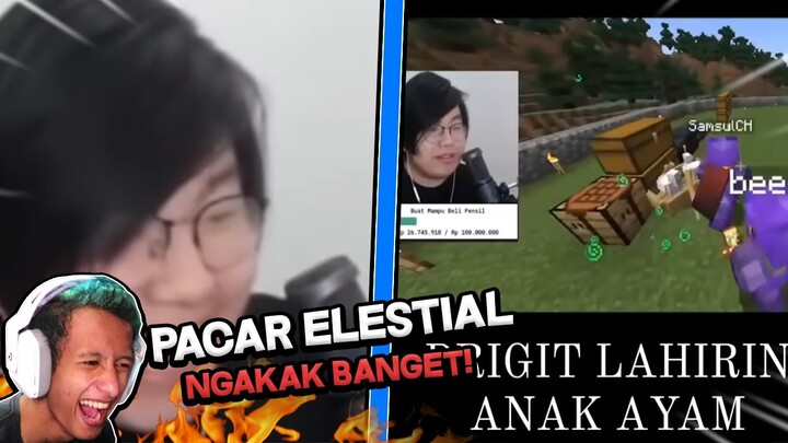 PACAR @ElestialHD PUNYA ANAK AYAM? NGAKAK BANGET!! - REACTION MEME PAPOPE INDONESIA
