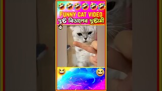 😂দুষ্ট বিড়ালের দুষ্টামী দেখুন🤣| Funny Cat video | Funny animals | #shorts #funny #cat