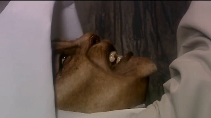 Doctor Who introductory clip 1: David Tennant's acting