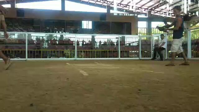 wins kaltis Left and right (red)