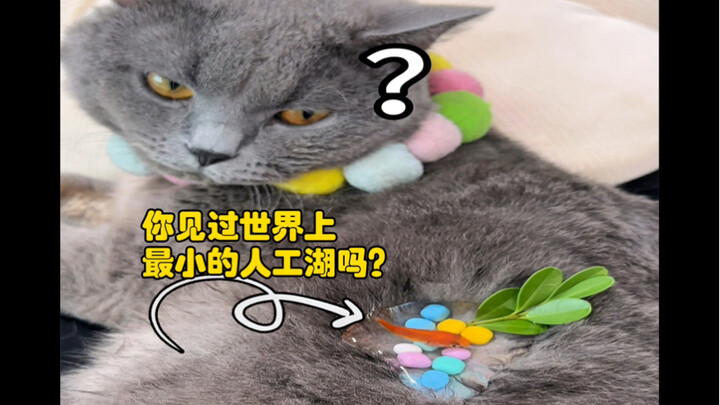 "Hồ nhân tạo nhỏ nhất thế giới" đã ra đời.