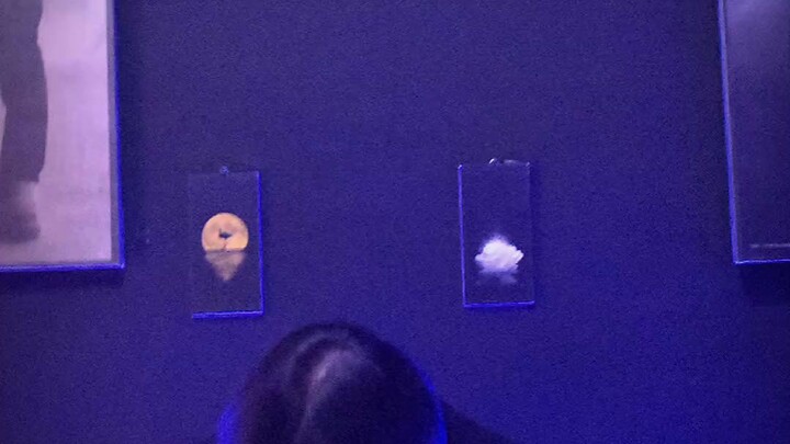 haloo apa kabar kalian??