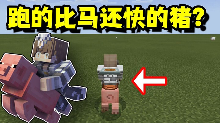 Kiến thức lạ về Minecraft: Bolt của thế giới lợn? Bạn đã từng thấy chú lợn chạy nhanh hơn cả ngựa ch