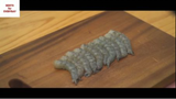 Món ngon Japan : Crispy fried dumplings 2 #monNhat
