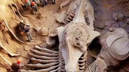 Breaking News! Breaking News! Another exciting archaeological discovery!