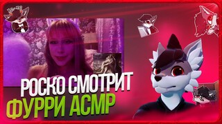 🐺 Роско смотрит Pipirka - асмр превращаю тебя в фурри