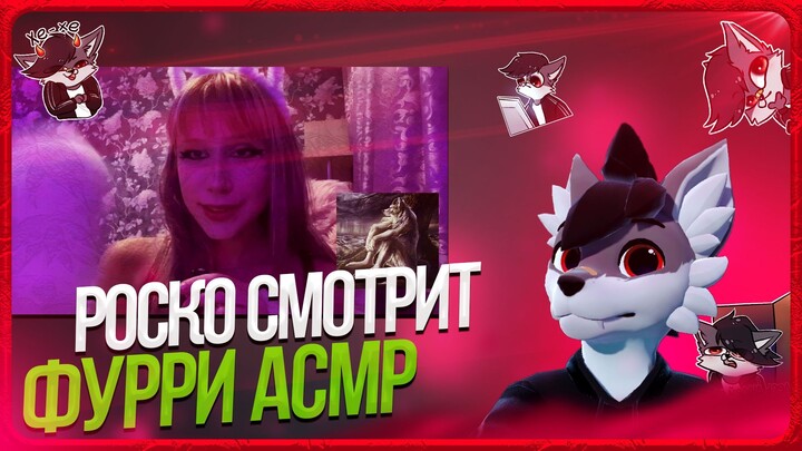 🐺 Роско смотрит Pipirka - асмр превращаю тебя в фурри