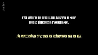 Philippines, sauver la forêt au péril de sa vie