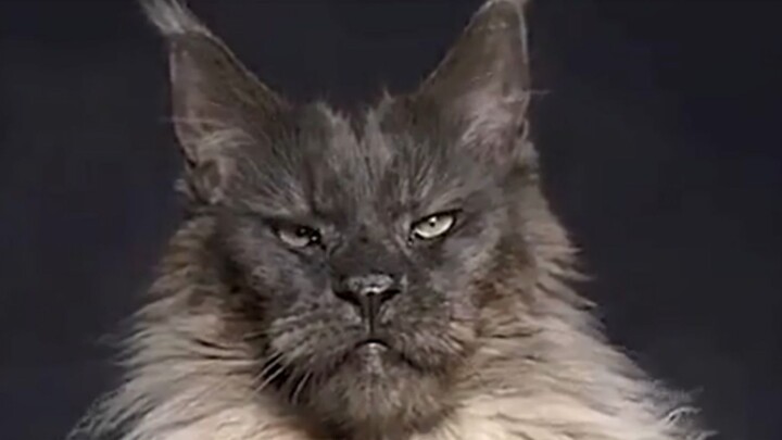 Now that’s what real masculinity looks like!