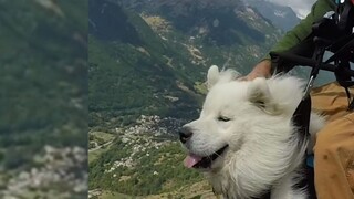 يأخذ ضابط جمع البراز الكلب للتزحلق معًا ~