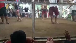 napakalakas talaga lumipad at sumalpok