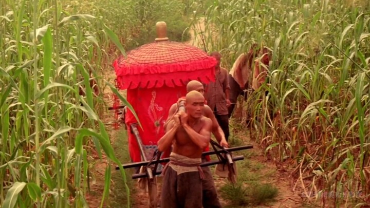 "Red Sorghum" Part 1/3: He pushes his new bride into the sorghum field, thus forging an inseparable 