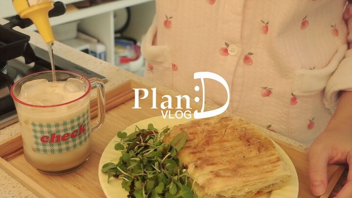 PlanD VLOG | Happy Solo Living: A Day in My Life | Panini Made with Leftover Fried Chicken | Mixed N