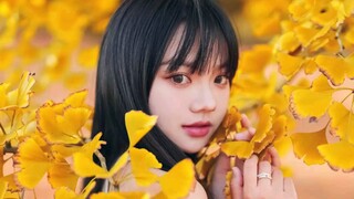 Ginkgo Tree Photography Tips: Ginkgo Tree Poses and Angles