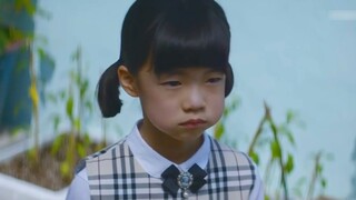 Nhìn lại bộ phim ấm áp và chữa lành này từ năm 2019, tôi vẫn còn vô cùng xúc động
