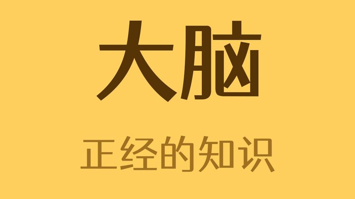 Apakah otak kita hanya terpakai 10%?