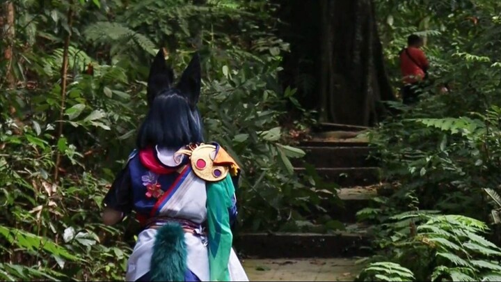 提纳里 - 短片 -关于神之眼