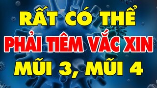 🔥 Tin Tức Thời Sự Nóng Nhất Tối 31/10 | Cập Nhật  Liên Tục, Khán Giả Quan Tâm Nhất  | Tin tức 247