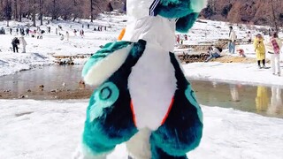 Snow Mountain Dragon Online Tell Me