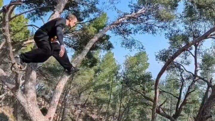 A master parkourer is running through the forest—has this person evolved or devolved...?