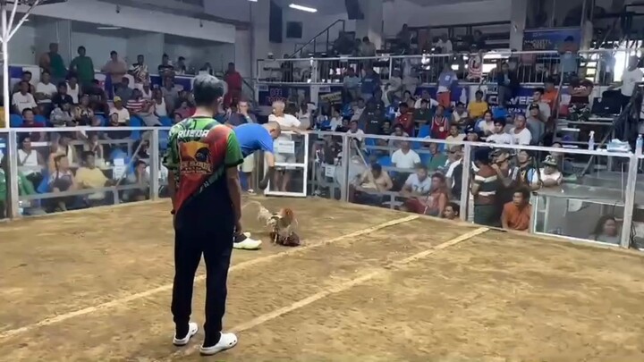 ELORDE WIN WHITECHOCO