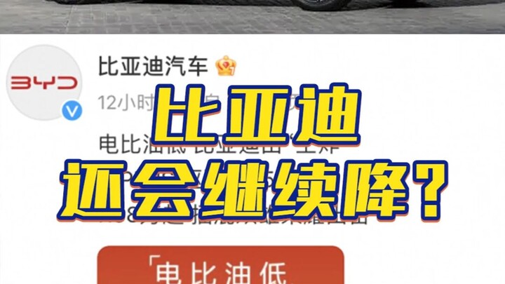 BYD's price cut isn't just throwing a tantrum—it's like peeing in the pot!