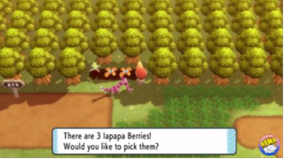 Pokemon Brilliant Diamond & Shining Pearl Tập 18 - Hoàn Thành Bộ Sưu Tập Huy Hiệ