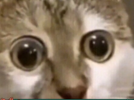 Ở nhà bạn, cô ấy là Đình Đình; còn ở nhà người khác, cô ấy lại là Khả Tâm.