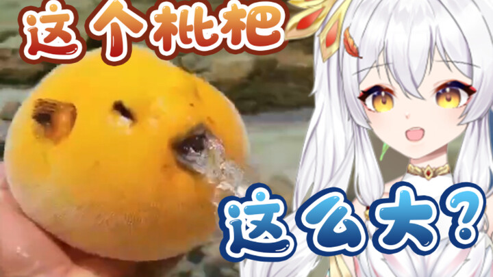 《 奇 怪 的 河 豚 ，但 沙 雕 配 音》