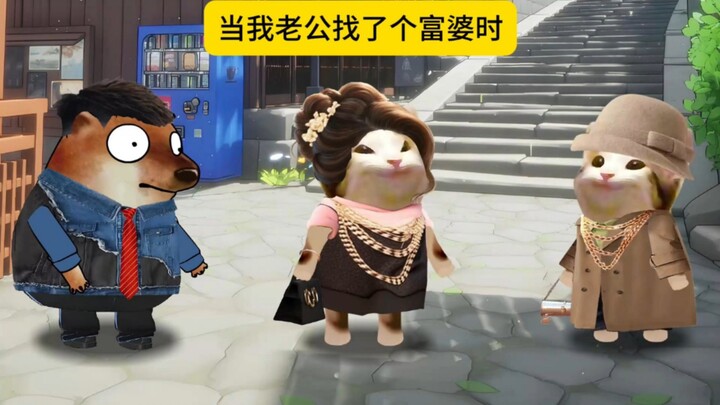 当你老公找了个富婆时