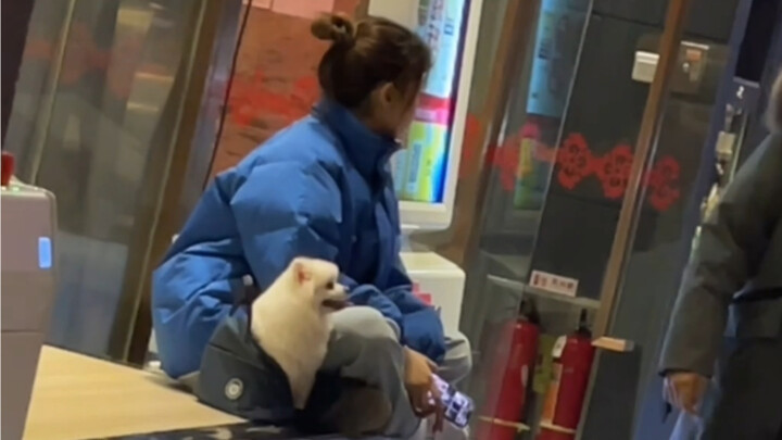 Anjing tidak boleh masuk ke restoran hot pot, jadi sahabatku duduk bersama si anjing di depan pintu 