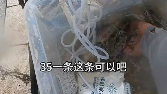 ไม่รู้ทำไมเดี๋ยวนี้ใครๆ ก็อยากได้ของป่ากันทั้งนั้น