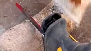 Horse hoof repair