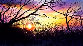 Samurai Champloo - EP17 - Khúc ru của sự lạc lối (Khúc thứ hai)