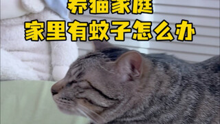 Apa yang harus dilakukan jika ada nyamuk di rumah yang memelihara kucing?