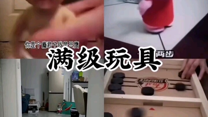 ของเล่นระดับสุดยอด