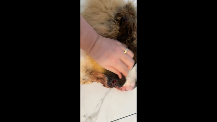 ที่ระลึกให้กับมือซ้ายที่ยังสามารถกินข้าวและเขียนหนังสือได้ของฉัน