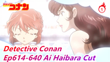 [Detective Conan] Ai Haibara Cut Part 11, Ep614-640_1