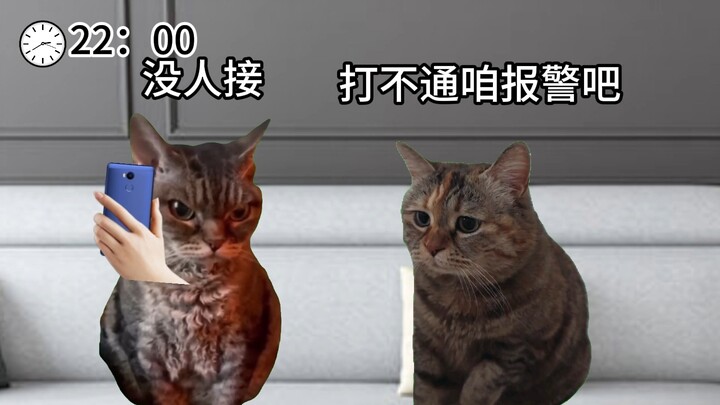 Khi bạn về nhà muộn