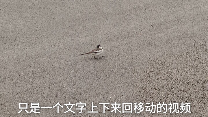 【Ảo ảnh AI】Video kỳ diệu: 60fps và 30fps trông hoàn toàn khác nhau!