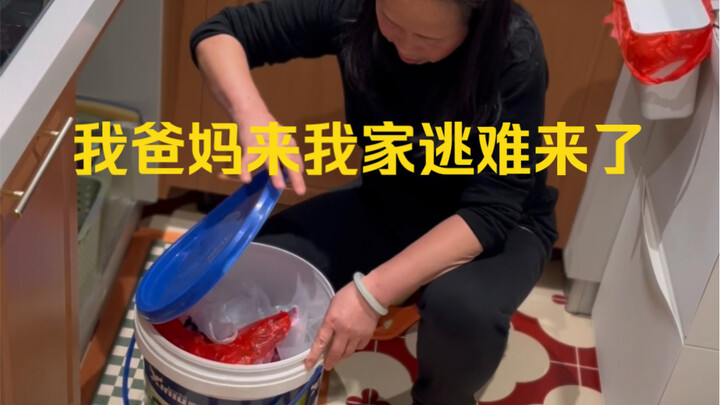 Mùa Xuân ngược dòng: Bố mẹ tôi chạy đến nhà tôi để lánh nạn.