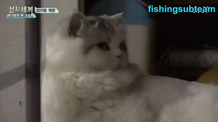 3 Meals A Day Deukryang Island S2 E12