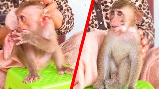 Tiny adorable Toto & Yaya sits down on the chair let Mom clean up after bathing