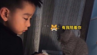 ใครจะปฏิเสธลูกแมวตัวโง่ๆ น่ารักได้ล่ะ? ดูจบแล้วอารมณ์ดีขึ้นเลย!