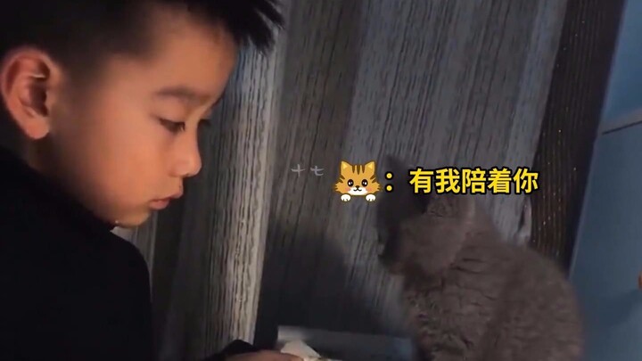 谁能拒绝傻憨憨的小猫咪呢？看完心情都变好了！